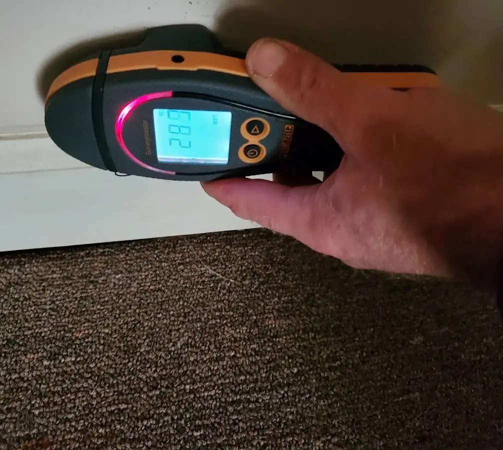 Moisture detection at baseboard during Sewage Cleanup & Sanitation in Winchester